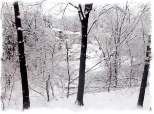 Screen Shot 2013-12-26 at 6.11.16 PM