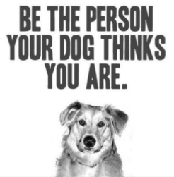 Be the person your dog thinks you are.